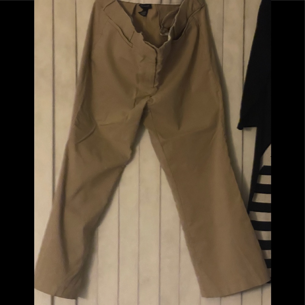 Lane Bryant Allie Pants khaki Pants Size 24S